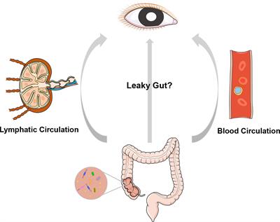 Microbiota and Ocular Diseases